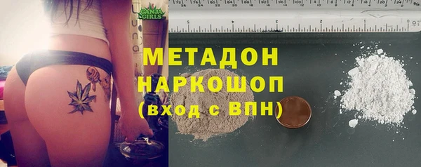 шишки Белоозёрский
