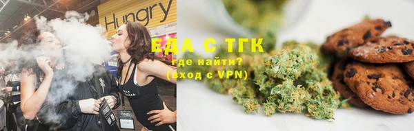мдпв Богородск