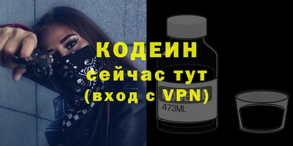 шишки Белоозёрский