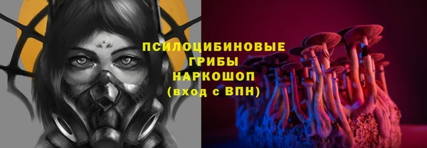 шишки Белоозёрский