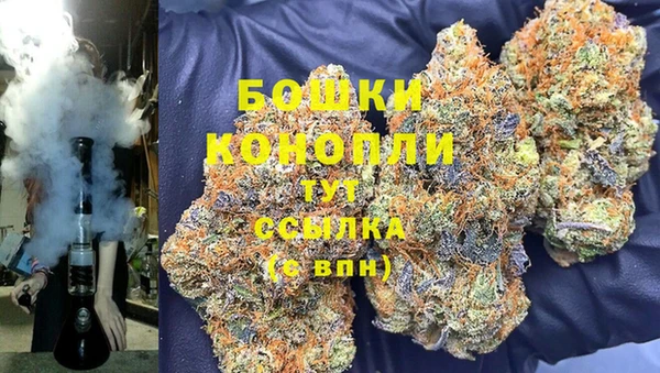 ешки Белокуриха