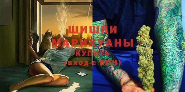 мдпв Богородск