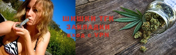 мдпв Богородск