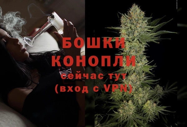 PSILOCYBIN Богданович