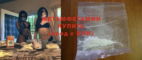 шишки Белоозёрский