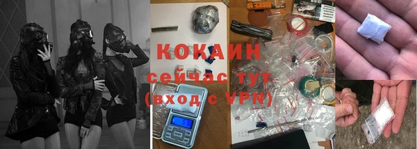 мдпв Богородск