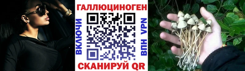 Псилоцибиновые грибы прущие грибы Купить где Билибино